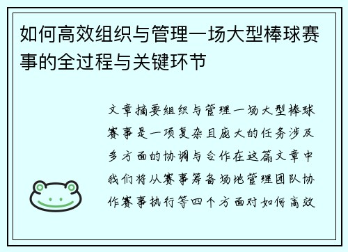 如何高效组织与管理一场大型棒球赛事的全过程与关键环节