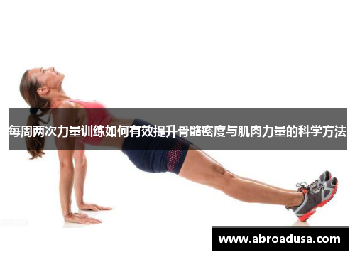 每周两次力量训练如何有效提升骨骼密度与肌肉力量的科学方法