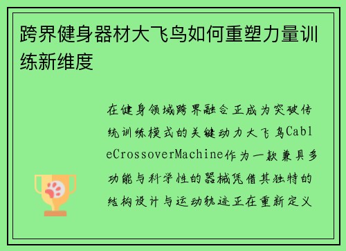 跨界健身器材大飞鸟如何重塑力量训练新维度