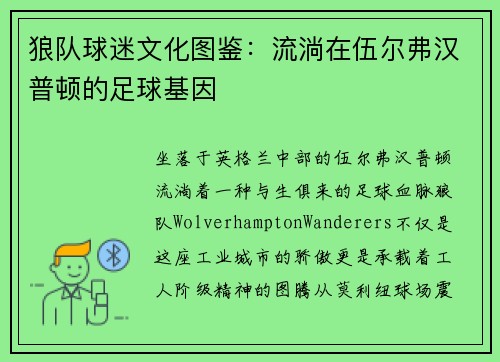 狼队球迷文化图鉴：流淌在伍尔弗汉普顿的足球基因